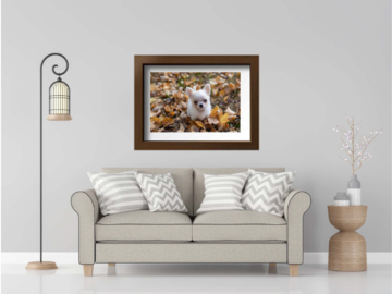a large framed print of a Chihuahua puppy hanging over a tan couch