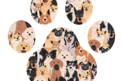 Request Quote: Pet Care by K9 Kargo - Pet Sitting Services - Camillus, NY