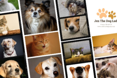 Request Quote: Drop In Pet Sitting - Corpus Christi, TX