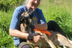 Request Quote: Kate's Dogs - Certified Dog Behavior Consultant - K9 Trainer - Lebanon, OR