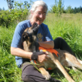 Kate's Dogs - Certified Dog Trainer and Behaviorist - Lebanon, OR
