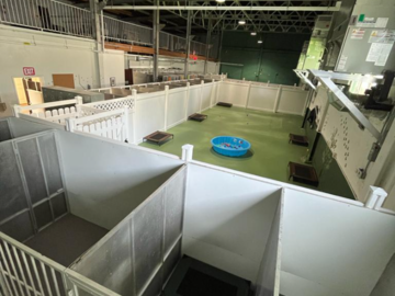 Indoor Parks