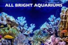 Request Quote: Allbright Aquariums - Aquarium Services - Lake George, NY