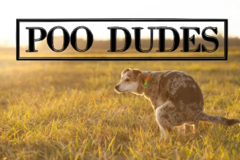 Request Quote: Poo Dudes - Pet Waste Removal Services - Portsmouth, NH