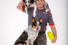 Request Quote: Sit Means Sit Dog Training - Valhalla, NY