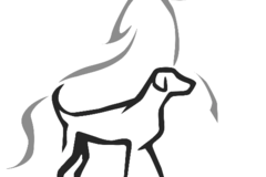 Request Quote: Equi-Dog Integrative Bodywork - Animal Massage Therapy - Wallace, MI