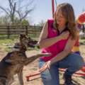 K9 Fitness Works - Canine Rehabilitation and Training - Nationwide
