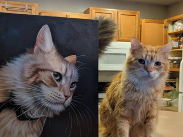 Cat portrait on canvas 
