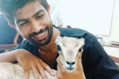 Request Quote: Pet First Aid Training - Pre Medication and Treatment  - Nationwide