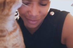Request Quote: Best Friend Walking - Professional Pet Sitting Services - Santa Fe, NM