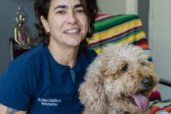 Request Quote: My Vet At Home - In Home Mobile Vet Service - Miami, FL