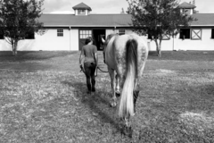 Request Quote: Reiki By Angie - Animal Reiki Master - Nationwide