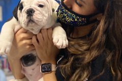 Request Quote: HelpingPaws - Vet Tech Services - Tolleson, AZ