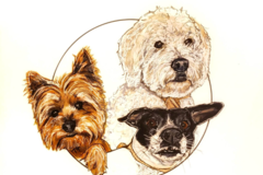Request Quote: Reaux Art - Metairie Louisiana Pet Portrait Artist - Nationwide