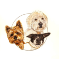 Reaux Art - Metairie Louisiana Pet Portrait Artist - Nationwide