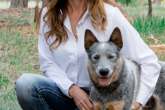 Request Quote: Definitive Dog - Pet Nutritionist  - Nationwide