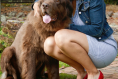 Request Quote: Your 4 Legged Pet Service - Pet Sitting Care - Hartford, CT