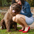 Your 4 Legged Pet Service - Pet Sitting Care - Hartford, CT