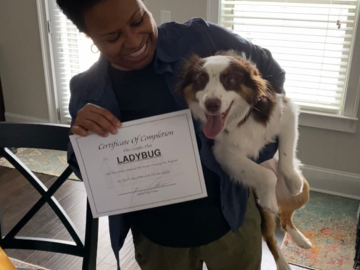 Canine Graduate
