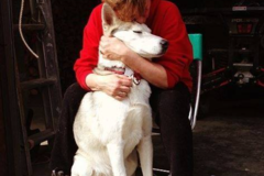 Request Quote: A Talk in the Woods Counseling - Pet Loss Grief Counselor - Nationwide
