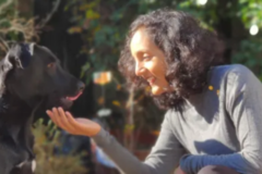 Request Quote: Homeopathic Pet Care Consultations - Sacramento, CA
