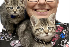 Request Quote: CodaPet - In Home Pet Euthanasia - Concord, CA