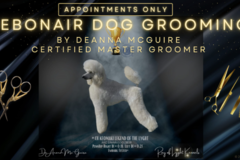 Request Quote: DeBonair Dog Mobile Grooming - Jacksonville, FL