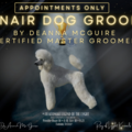 DeBonair Dog Mobile Grooming - Jacksonville, FL