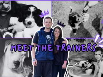 Certified Dog Trainers of Best Buddy Dog Trainer