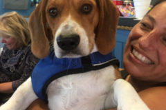 Request Quote: Soul To Soul With Dina -All Animal Communications - Nationwide