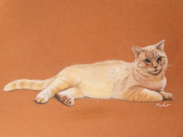Cat Pastel Portrait - Maho 