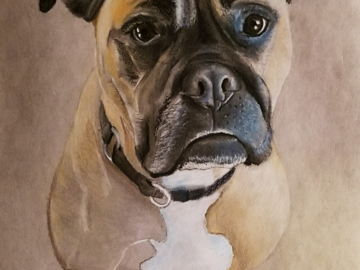 Dog Pastel Portrait - Sampson