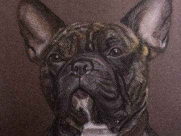 Dog Pastel Portrait - Felix