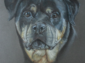 Dog Pastel Portrait - Lola