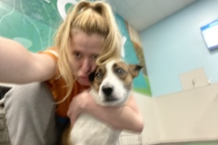 Request Quote: K9 Coach - Dog Walker and In Home Pet Sitter - New Providence, NJ