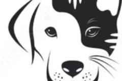 Request Quote: Scales Tails & Paws - In Home Pet Sitting - Westerville, OH