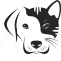 Scales Tails & Paws - In Home Pet Sitting - Westerville, OH