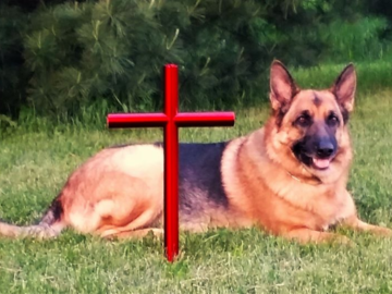 Dog Urn Memorial Cross Red SS