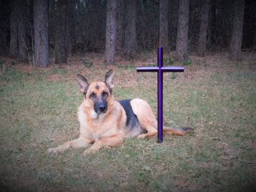 Pet Memorial Cross Purple Stainless