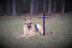 Request Quote: Everlasting Cross Memorial - Pet Burial Memorial - Hugo, MN