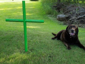 Pet Memorial Urn Cross Green Custom