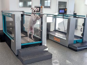 Dogtor Wilbur showcases our Underwater Treadmills