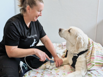 Blanca gets Laser Therapy to help relieve her Arthritis pain