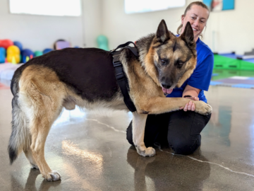 Exercises for Balance & Proprioception are an integral part of the recovery process