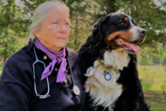 Request Quote: CodaPet In Home Pet Euthanasia - Helena, MT