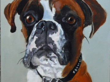 Boxer Dog Oil Painting Portrait, Flashy Fawn, by Robin Zebley