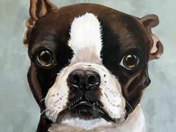 Boston Terrier Custom Portrait Painted by Artist Robin Zebley