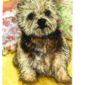 Lynne Srba - Pet and People Portraits - Pet Portrait Artist - Nationwide