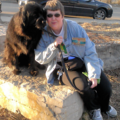Kim's Critter Care - Pet Sitting and Dog Walking Service - Minneapolis, MN