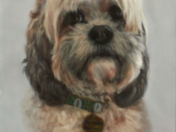 pet portrait, 11x14" oil on canvas 